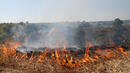 Повече от 35 хиляди пожари са гасени на територията на страната