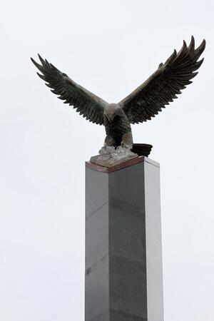 Орелът е символа на българските ВВС