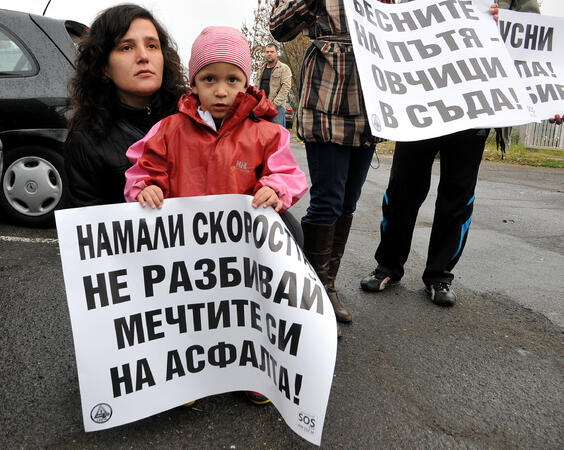 "Бесните на пътя - овчици в съда!"