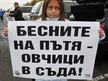 "Бесните на пътя - овчици в съда!"