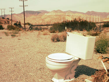 Днес е Световният ден на тоалетната 