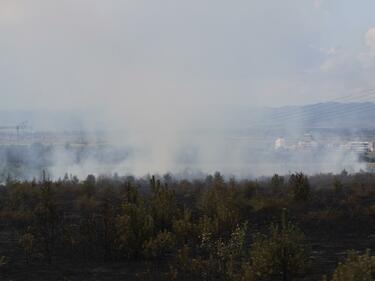 Пожар изпепели 300 дка площ от резервата „Сребърна“