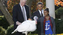 <p>Президентът на <span style="background-color: #ffffff;">САЩ</span> <span style="background-color: #ffffff;">Барак</span> <span style="background-color: #ffffff;">Обама</span> "помилва" две пуйки на традиционна годишна церемония в Белия дом, като каза, че иска да предложи на птиците втори шанс в навечерието на американския празник Ден на благодарността</p>