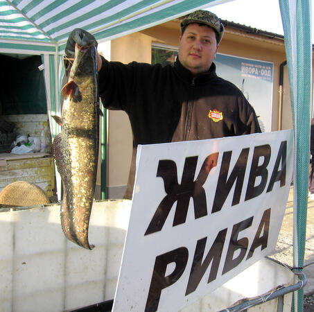 Навръх празника Никулден търговци от Разград предлагаха жива риба на щандовете на кооперативния пазар в града