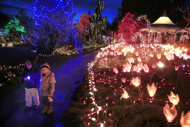 Във Ванкувър грейнаха 1 милион LED крушки, които красят Ботаническата градина. Така бе отбелязано откриването на 28-ия фестивал на Светлината