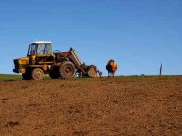 Селското ни стопанство е скочило с 22% за през 2011 г.