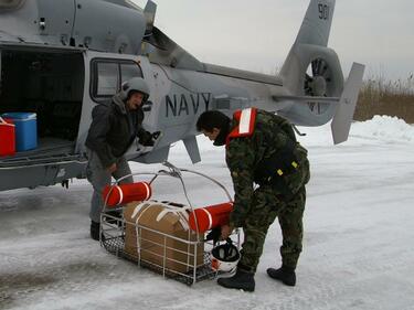 Хеликоптер достави кръв за Добрич и Силистра