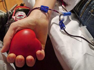 Над 131 630 души станаха кръводарители през 2012 г.