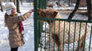 Как се справят със зимата животните в зоопарка в Хасково?