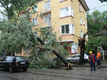 В Кюстендил скоростта на вятъра достигна 14 метра в секунда