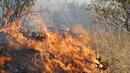 Загасиха единия пожар в Тетевенско