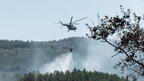 Пожарите в страната: Десетки хиляди декари унищожени гори и земи (ОБЗОР)