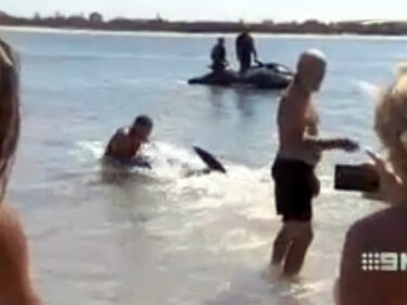 Мъж се справи с двуметрова акула с голи ръце