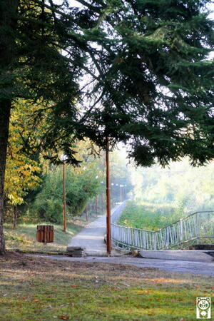 В парка може да се разхождате на воля - 800 дка с борови насаждения и специално пренесени екзотични видове