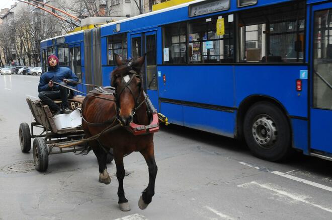 Каруца се състезава с тролей в центъра на София