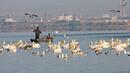 Знаем ли как да се грижим за водата на планетата?