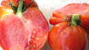 Тез червени домати: подробен гид на култовите чалга песни за храна