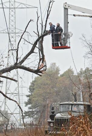 Дърво, съборено от вятъра, прекъсна електричеството в центъра на София