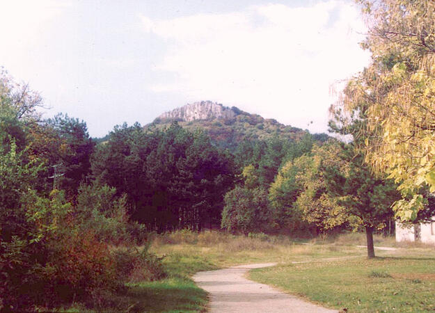 Местността "Камъка"