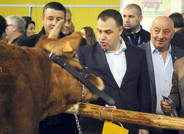 Найденов иска наследник експерт
