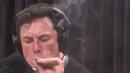 Илон Мъск пуши марихуана в ефир