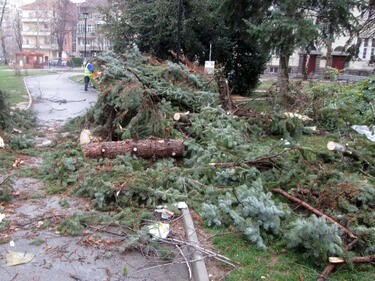 Размерът на щетите от ураганния вятър в Габровско расте