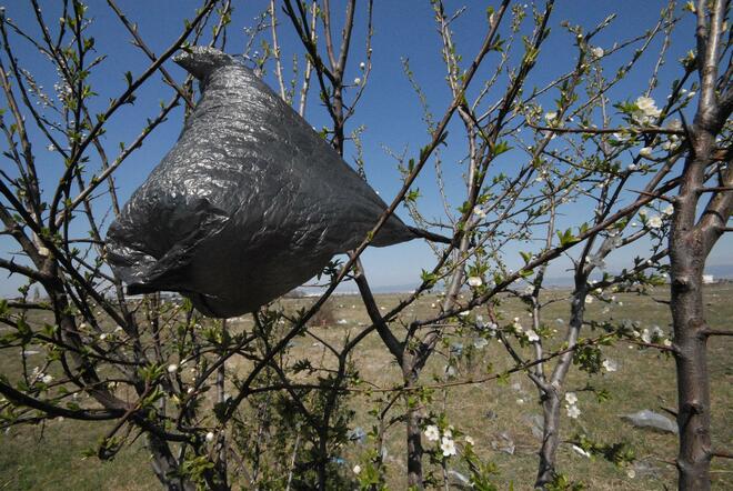 Ограничават найлоновите торбички с въвеждане на продуктова такса