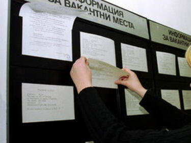 Дават временна работа на безработни в Димитровград