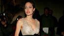Анджелина Джоли спечели съдебния процес в Хърватска