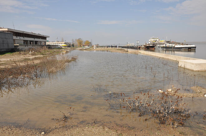 Подпочвени води избиха в Лом