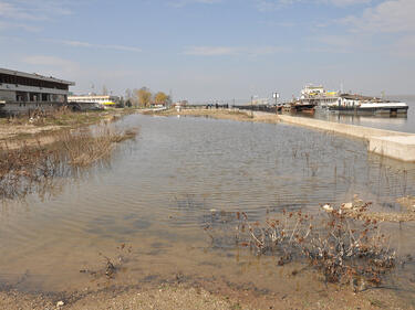 Подпочвени води избиха в Лом