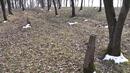Дядо се загуби в гора край Шипка