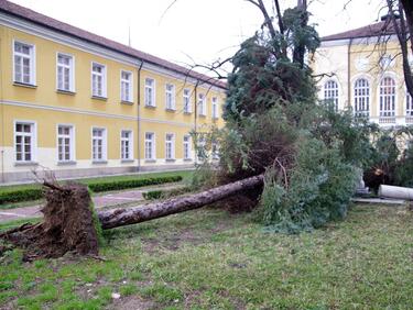 Правителство дава 2,3 млн. лв. на Габрово