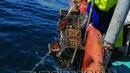 Рибари алармират: Рибата в Черно море изчезва, уловът ни се състои от риби с брадавици и екземи (ВИДЕО)