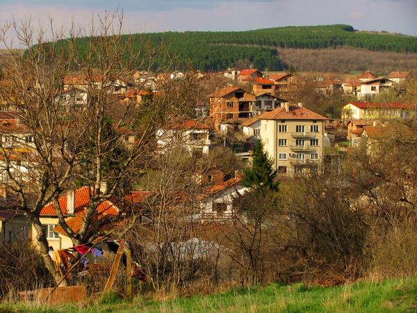 Село Алдомировци погледнато отгоре