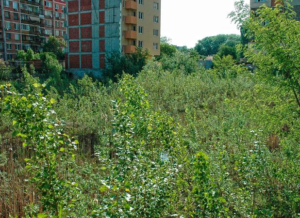 Жаби и комари се въдят в изоставен строеж в София