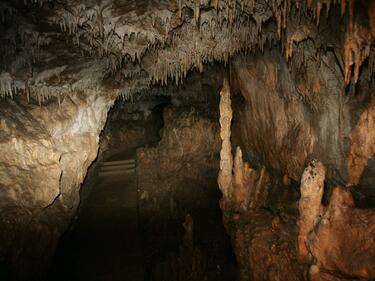 Ограничават достъпа до пещерите край село Боснек
