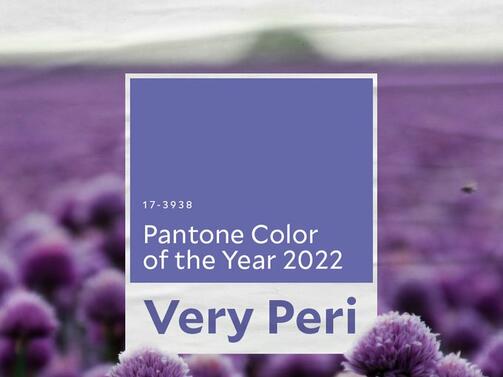 Експертите от американския Институт за цветовете Пантон Pantone Color Institute