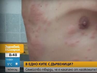 Дървеници нападнаха БДЖ