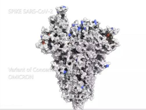 Суперкомпютри разработиха 3D модел на структурата на новия вариант на коронавируса Омикрон