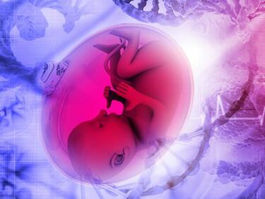 Мъск с план за синтетични утроби, които ще избавят жените от бремето на носене и раждане 