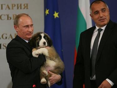 Владимир Путин и кучетата му: Как понякога се съветва с тях 
