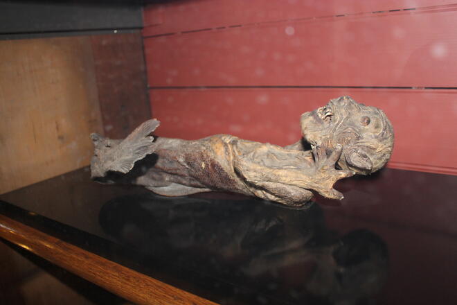 Вижте страховитата мумия на истинска русалка