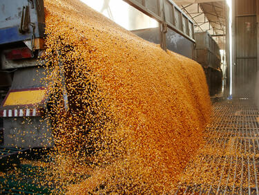 Износът на зърно от Украйна по море в момента е невъзможен