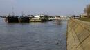 Дунав заплашва Сърбия с наводнение