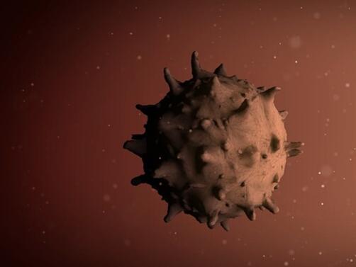 Новите случаи на коронавирус у нас за изтеклото денонощие са