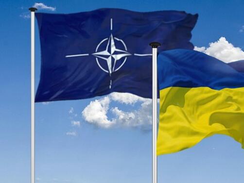 Парламентарната асамблея на НАТО призова за създаването на специален Международен