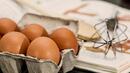 БАБХ започва проверки на яйца, козунаци и агнешко 