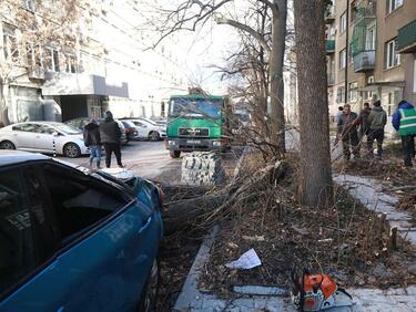 На 297 сигнала са реагирали от Столичната община, заради силния вятър