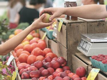 Скопие замрази цените на някои плодове и зеленчуци до края на месеца